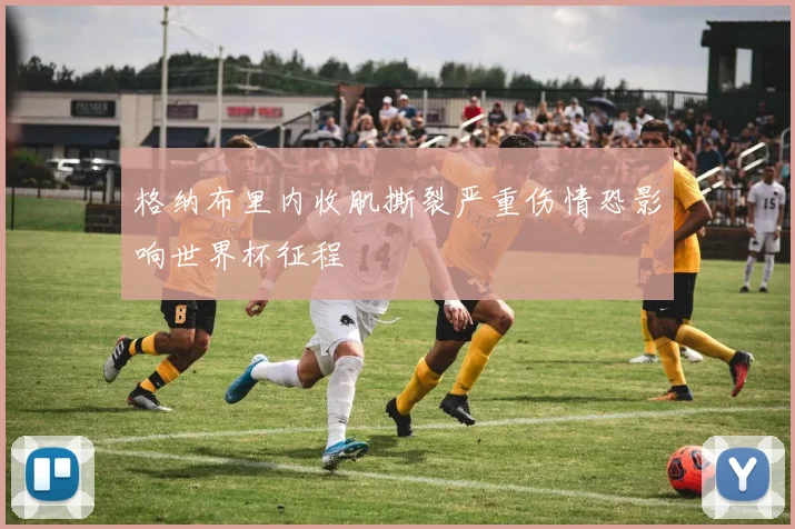 格纳布里内收肌撕裂严重伤情恐影响世界杯征程