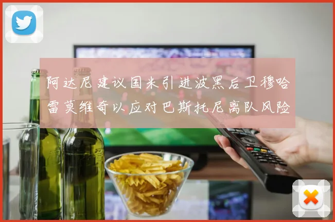 阿达尼建议国米引进波黑后卫穆哈雷莫维奇以应对巴斯托尼离队风险